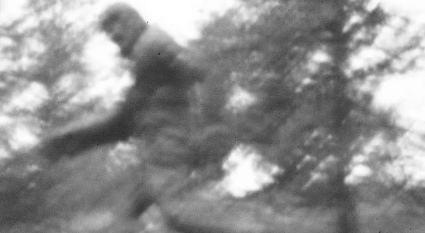 Night Vision - Cascade Mountains